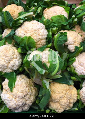 Gros chou-fleur croquant sur un étal du marché Banque D'Images