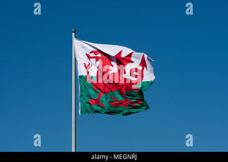 Y Ddraig Goch - Le dragon rouge, le drapeau national du pays de Galles, un pays au Royaume-Uni dans flutterin la brise sur une journée ensoleillée.. Banque D'Images