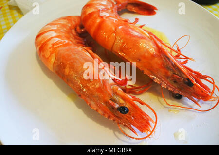 Une paire de crevettes jumbo sur une plaque blanche - John Gollop Banque D'Images