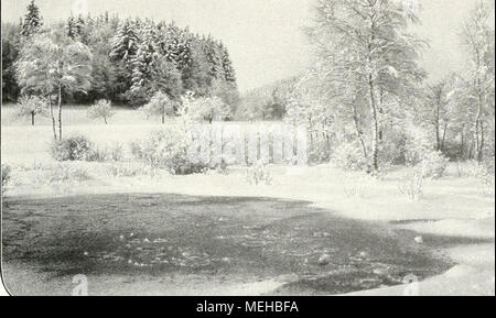 . Die Gartenkunst . - :^, Banque D'Images