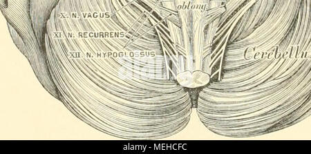 . Die topographische und descriptif pot des Menschen . Banque D'Images