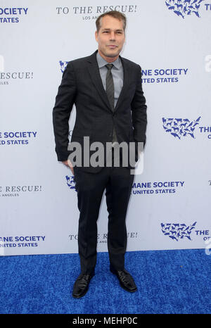 Los Angeles, CALIFORNIE, États-Unis. 21 avril 2018. 21 avril 2018 - Los Angeles, Californie - Shepard Fairey. La Humane Society of the United States' to the Rescue ! Gala de Los Angeles au Paramount Studios Backlot. Crédit photo : F. Sadou/AdMedia Banque D'Images