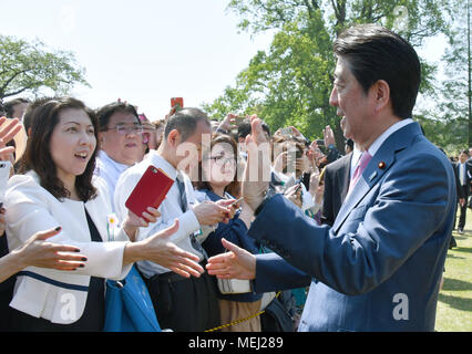 Tokyo, Japon. Apr 21, 2008. Au retour d'entretiens avec le président américain Donald Trump en Floride, le Premier ministre japonais Shinzo Abe et son épouse Akie l'hôte d'une partie d'affichage des cerisiers au Jardin National de Shinjuku Gyoen au coeur de Tokyo le Samedi, Avril 21, 2018. Quelque 17 000 personnes de divers domaines, y compris le sport, culture et divertissement, ont été invités à la réunion annuelle. Credit : Natsuki Sakai/AFLO/Alamy Live News Banque D'Images