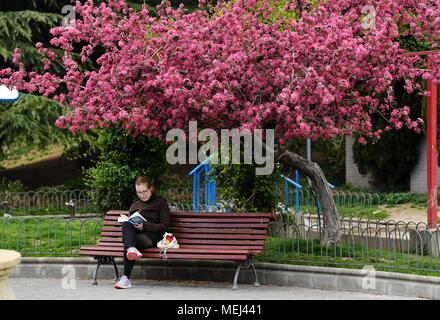 Madrid, Espagne. 4ème apr 2018. Une femme lit un livre dans un parc de Madrid, Espagne, le 4 avril 2018. L'Organisation des Nations Unies pour l'éducation, la science et la culture (UNESCO) 23 avril désigné comme l'occasion de la Journée mondiale du livre en 1995 pour rendre hommage au livre et à ses auteurs et d'encourager les gens à découvrir le plaisir de la lecture. Credit : Guo Qiuda/Xinhua/Alamy Live News Banque D'Images