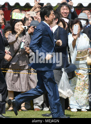 Tokyo, Japon. Apr 21, 2008. Au retour d'entretiens avec le président américain Donald Trump en Floride, le Premier ministre japonais Shinzo Abe et son épouse Akie l'hôte d'une partie d'affichage des cerisiers au Jardin National de Shinjuku Gyoen au coeur de Tokyo le Samedi, Avril 21, 2018. Quelque 17 000 personnes de divers domaines, y compris le sport, culture et divertissement, ont été invités à la réunion annuelle. Credit : Natsuki Sakai/AFLO/Alamy Live News Banque D'Images