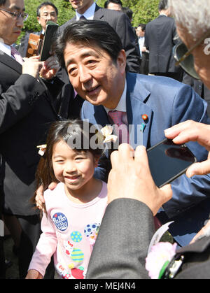 Tokyo, Japon. Apr 21, 2008. Au retour d'entretiens avec le président américain Donald Trump en Floride, le Premier ministre japonais Shinzo Abe et son épouse Akie l'hôte d'une partie d'affichage des cerisiers au Jardin National de Shinjuku Gyoen au coeur de Tokyo le Samedi, Avril 21, 2018. Quelque 17 000 personnes de divers domaines, y compris le sport, culture et divertissement, ont été invités à la réunion annuelle. Credit : Natsuki Sakai/AFLO/Alamy Live News Banque D'Images