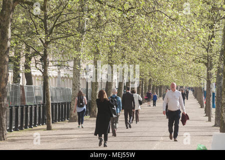 London UK. 23 avril 2018. Météo France : les navetteurs matin marche dans le soleil du printemps sur le Mall sur une agréable matinée ensoleillée que Londres se réveille à des températures plus froides Crédit : amer ghazzal/Alamy Live News Banque D'Images