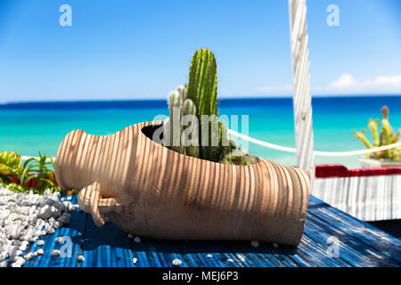 Une amphore utilisée comme un pot pour un groupe de petits cactus avec une belle mer bleue en arrière-plan Banque D'Images