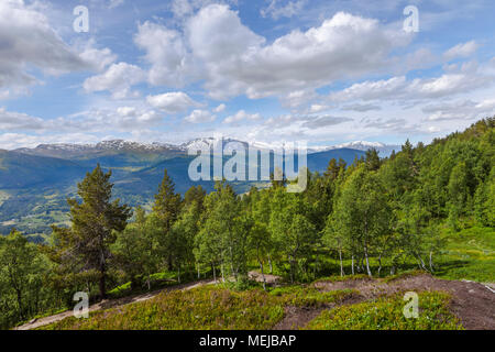Panorama de montagnes à la limite de la forêt, de la Norvège, sur le chemin du sommet de la montagne Molden près de Hafslo, vue montagne tops sur la cime des arbres Banque D'Images
