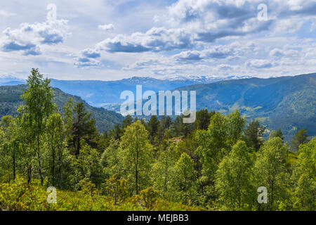 Panorama de montagnes à la limite de la forêt, de la Norvège, sur le chemin vers le haut de la montagne près de Hafslo, Molden de randonnée près de l'Lustrafjorden Banque D'Images