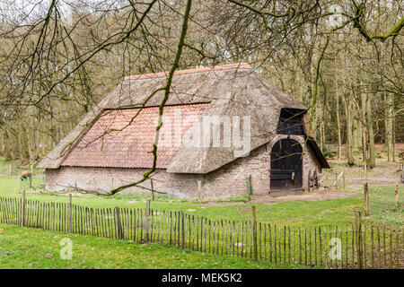 Une vieille brebis shed Banque D'Images