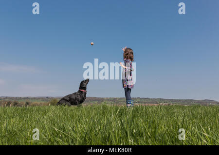 Une jeune fille jouant à la balle avec un Labrador noir dans un champ Banque D'Images