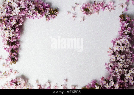 Arrangement de fleurs lilas avec copie espace, fond de printemps Banque D'Images