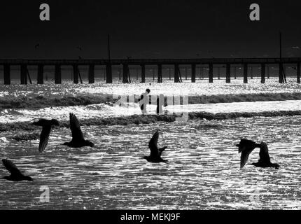 Un couple de passer du temps dans l'océan à Avila Beach. Banque D'Images