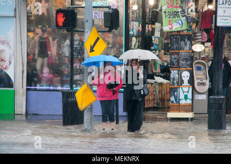 HOLLYWOOD - le 21 janvier 2018 : Femmes non identifiées qui essaient de traverser la rue sur les jour de pluie dans la ville de Hollywood, CA. Banque D'Images