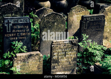 De nombreuses pierres tombales crapped ensemble et envahis par des plantes à Abney Park Cemetery, un des sept magnifiques cimetières de Londres, Royaume-Uni Banque D'Images