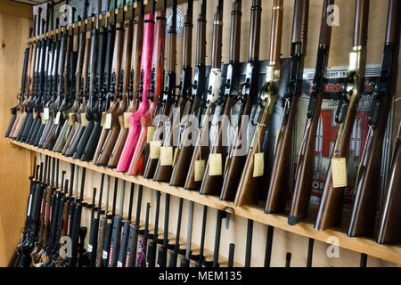 Casiers plein de fusils à percussion annulaire en vente dans un magasin d'armes. Banque D'Images