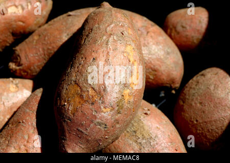 Les patates douces vu à Farmer's Market Banque D'Images