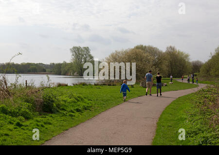 Shave Farm Country Park dans le Leicestershire, Angleterre. Une famille avec un petit enfant marche sur l'un des nombreux sentiers autour des lacs du parc. Banque D'Images