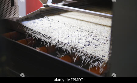 Produit Macaroni roulant sur une courroie de convoyeur dans une usine de pâtes alimentaires Banque D'Images