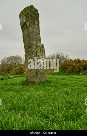 Les Pipers menhirs Banque D'Images