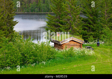 Toit de chaume traditionnel sur une cabane au bord d'un lac en Suède Banque D'Images