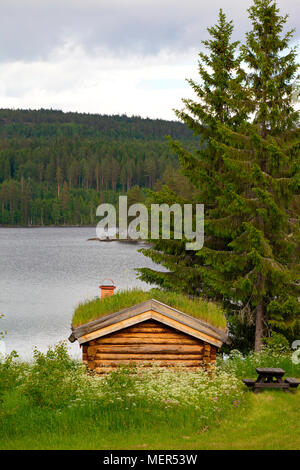 Toit de chaume traditionnel sur une cabane au bord d'un lac en Suède Banque D'Images