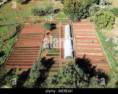 Drone avec potager rural vue aérienne de potager bio Banque D'Images