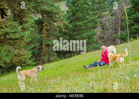 TUSHETI, GÉORGIE - 24 juillet : l'homme entouré par des chiens de berger. Juillet 2017 Banque D'Images