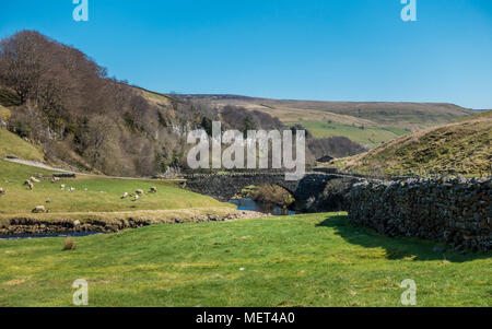 Beau vieux pont de pierre sur la rivière Swale dans Swaledale, Yorkshire Dales Banque D'Images