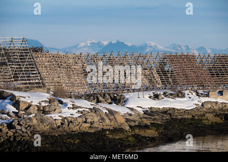 Séchoirs FSH ; Solvaer Lafoten Islands Norvège Banque D'Images