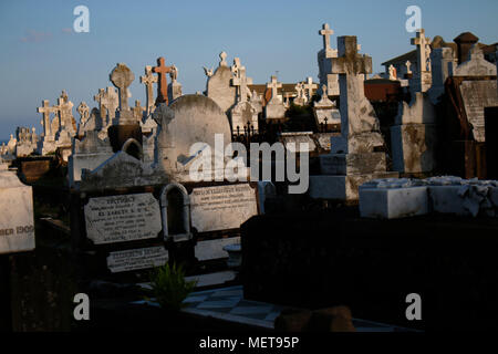 Cimetière Waverley : Impressionen, Sydney, Australie. Banque D'Images