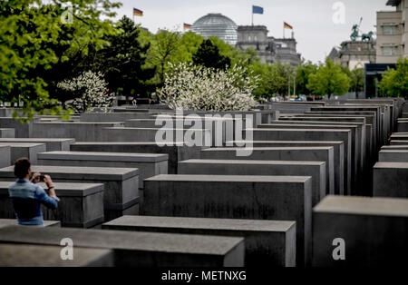 23 avril 2018, Allemagne, Berlin : les visiteurs à pied à travers l'Holocauste Memrial dans Berlin Mitte. Le Mémorial commémore la tué des Juifs pendant le Troisième Reich. Photo : Michael Kappeler/dpa Banque D'Images