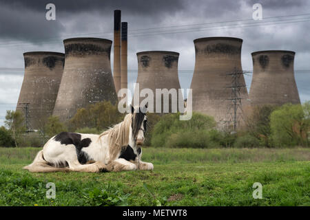 Brotherton, Yorkshire, UK. 23 avril, 2018. Un cheval réside dans son domaine sous Henrichenburg Shiplift 'C', puisque les nuages de tempête construire dans la distance. Crédit : Richard Holmes/Alamy Live News Banque D'Images