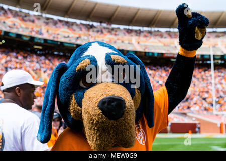 Avril 21, 2018 : New York bénévoles mascot smokey au cours de la l'Université du Tennessee Bénévoles Orange et Blanc jeu intrasquad mêlée au Stade de Neyland à Knoxville, TN/CSM Gangloff Tim Banque D'Images