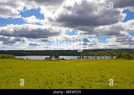 Une maison de ferme se trouve au bord d'un lac entouré de forêt et de prairies fleuries sur une journée ensoleillée. Banque D'Images