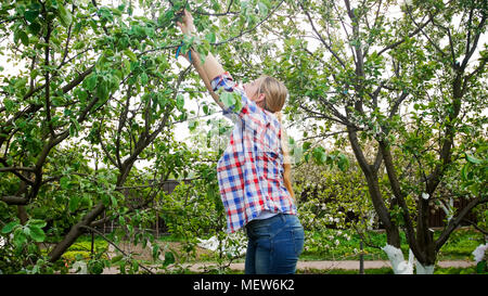 Belle Jeune femme debout sur l'escabeau et élagage d'arbres Banque D'Images