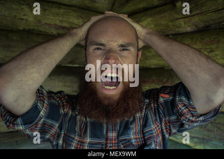 Portrait d'un gingembre chauve caucasian man with beard hurler de colère debout dans un chalet en bois Banque D'Images