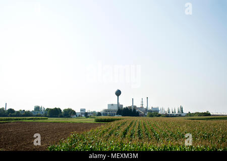 Usine de fabrication dans la plantation de maïs à Mannheim, Allemagne Banque D'Images