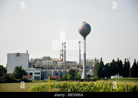 Usine de fabrication dans la plantation de maïs à Mannheim, Allemagne Banque D'Images