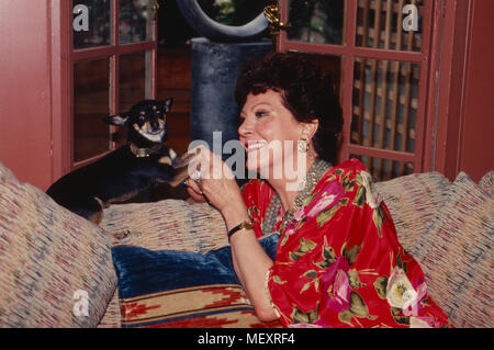 Anna Moffo, amerikanische Opernsängerin zuhause mit Wohnung in ihrer Kissy Rehpinscher à New York, USA 1987. La chanteuse Anna Moffo opéra américain pinscher avec à son Kissy maison privée à New York, USA 1987. Banque D'Images