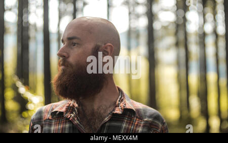 Le portrait d'un jeune homme de race blanche chauve avec une barbe debout dans une forêt à l'écart d'une caméra Banque D'Images