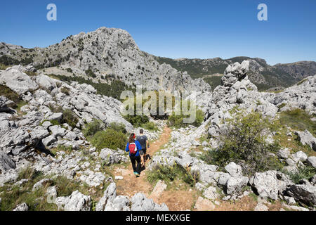 Sentier à travers un paysage de montagne au-dessus du village de Grazalema, Parc Naturel Sierra de Grazalema, Andalousie, Espagne, Europe Banque D'Images