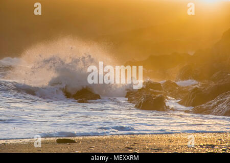 Golden sunset over rocky Pembrokeshire Coast, éclaboussures des vagues et brise du soir,falaises et brume en arrière-plan.paysage pittoresque Uk.côte britannique le coucher du soleil. Banque D'Images