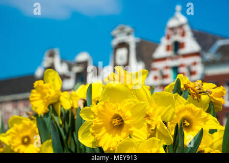 Dutch maisons avec tulipe jaune fleurs, Amsterdam, Pays-Bas Banque D'Images