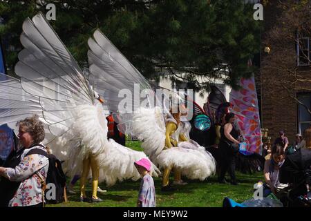 Swan cinématique Procession Marionnette à Rougemont pour jardins du ramm Carnaval des Animaux anniversaire. Exeter, Devon, UK. Avril, 2018. Banque D'Images