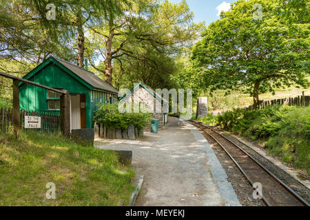 Dolgoch, Gwynedd, Pays de Galles, Royaume-Uni - Mai 25, 2017 : Le Dolgoch Station du Talyllyn Railway Banque D'Images