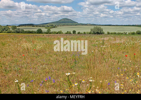 La montagne de Rip - lieu de pèlerinage populaire, la région de Bohême centrale. République tchèque. Banque D'Images