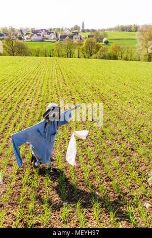 Un épouvantail planté au milieu des sillons d'un champ ensemencé récemment dans la campagne française avec les maisons d'un village de l'arrière-plan. Banque D'Images