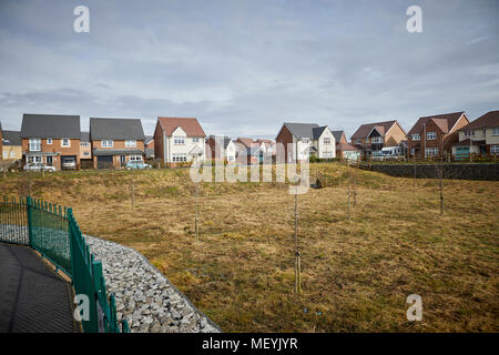 Une plaine inondable ou sur un système moderne de développement d'immeubles maisons sur une propriété dans la région de Lancaster, Lancashire, Angleterre. Banque D'Images